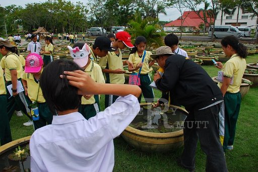 3.8.52 p6 (105).JPG